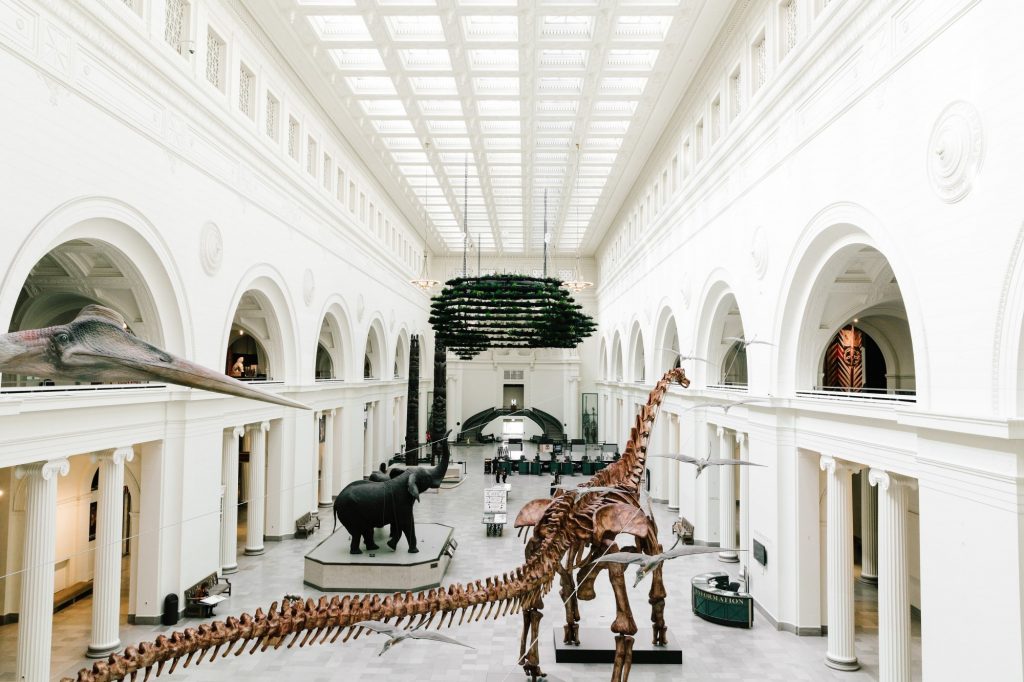 Museum Dinosaurus Terbaik di Dunia