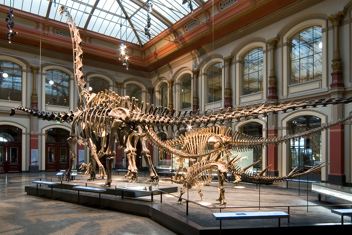 Museum Dinosaurus Terbaik di Dunia
