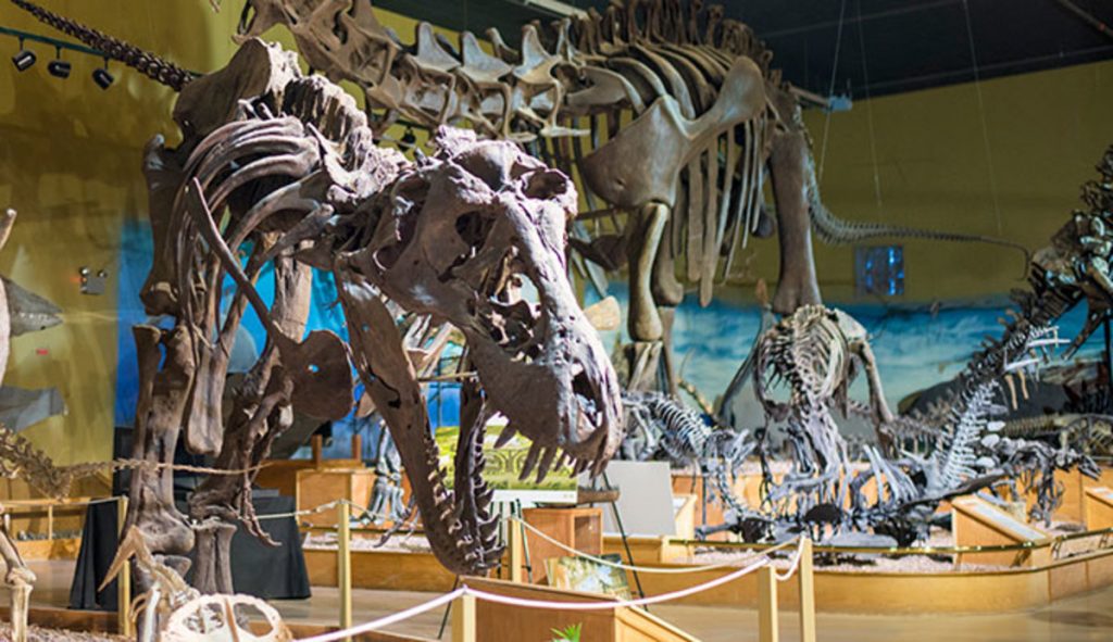 Museum Dinosaurus Terpopuler Di Dunia